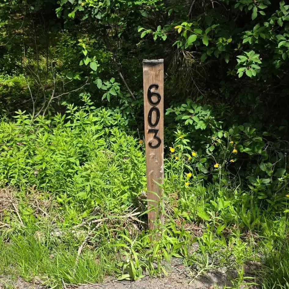 Post Marker showing my Civic number 603