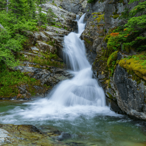 aster falls in glacier national park