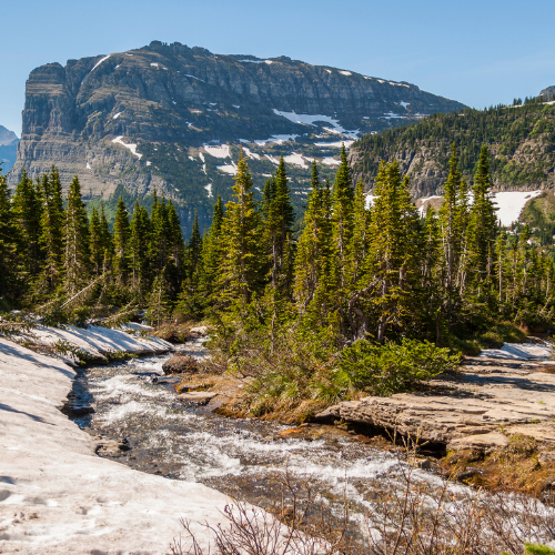 lunch creek falls hike