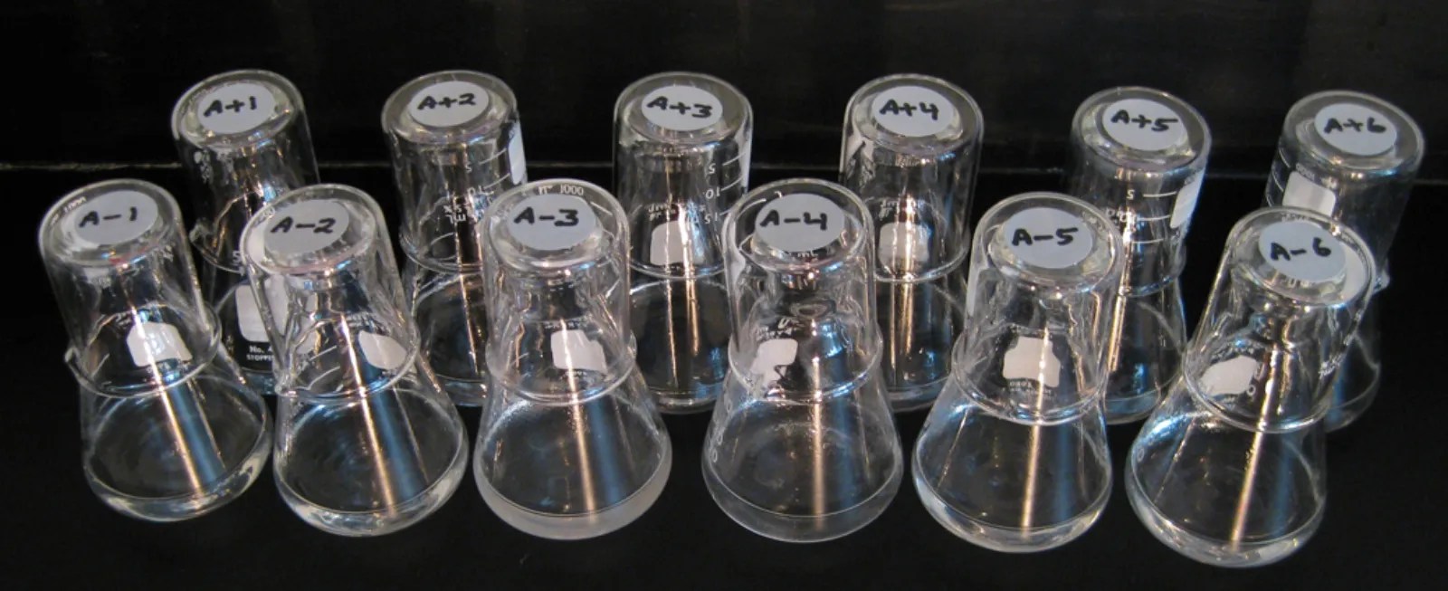 Twelve small glass flasks with caps labeled A-1 to A-6 and A+1 to A+6 stand in two rows against a black background; the flask labeled A-3 looks slightly cloudier than the rest.