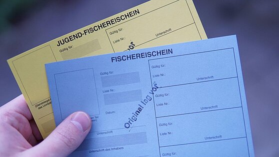 angelschein kaufen ohne prüfung