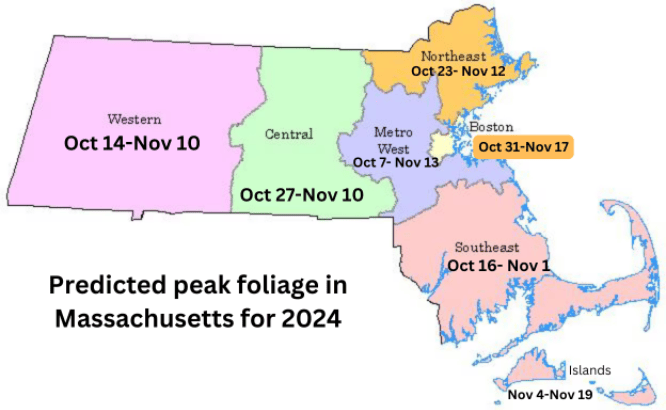 Peak Foliage 2024 Ma Oct 8 Nov 8 2 