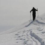 The Art of the Uptrack uptrack image