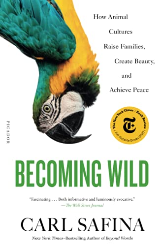 BECOMING WILD: HOW ANIMAL CULTURES RAISE FAMILIES, CREATE BEAUTY, AND ACHIEVE PEACE