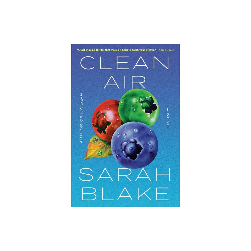 Clean Air - by Sarah Blake (Paperback)