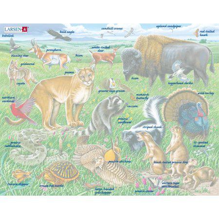 Larsen Puzzles American Prairie Kids Jigsaw Puzzle