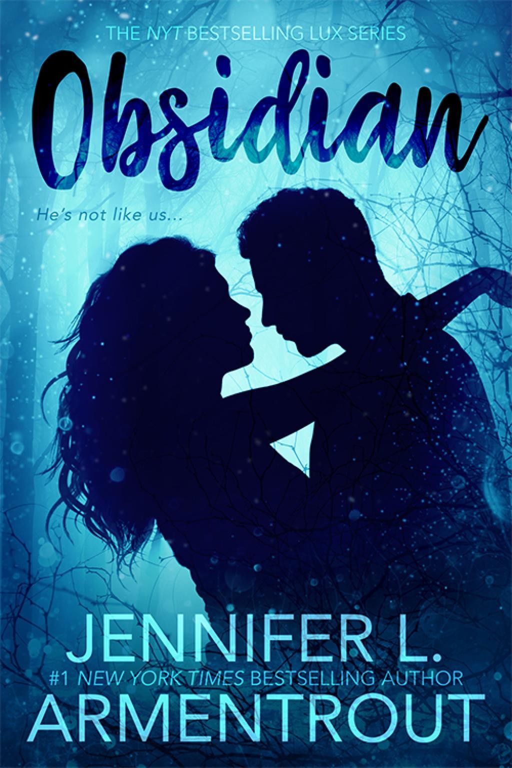 Obsidian - by Jennifer L. Armentrout (DELUXE Hardcover)