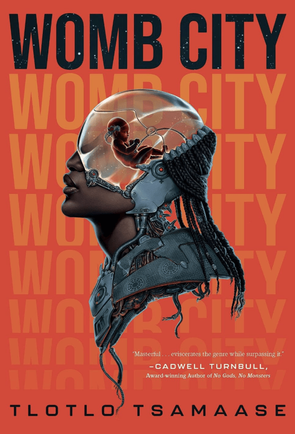 Womb City - by Tlotlo Tsamaase (Paperback)