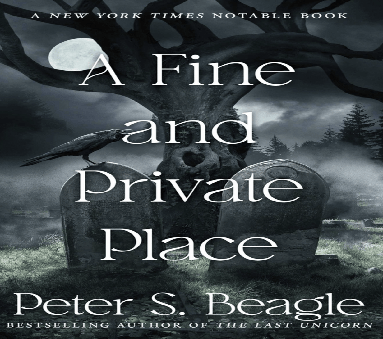 A Fine and Private Place - by Peter S Beagle (Paperback)