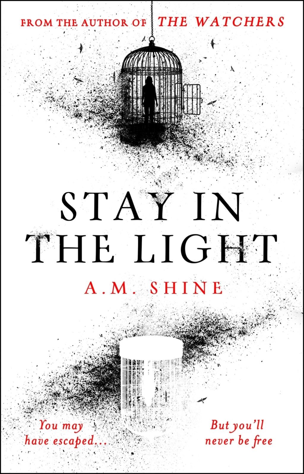 Stay in the Light - by A M Shine (Hardcover)
