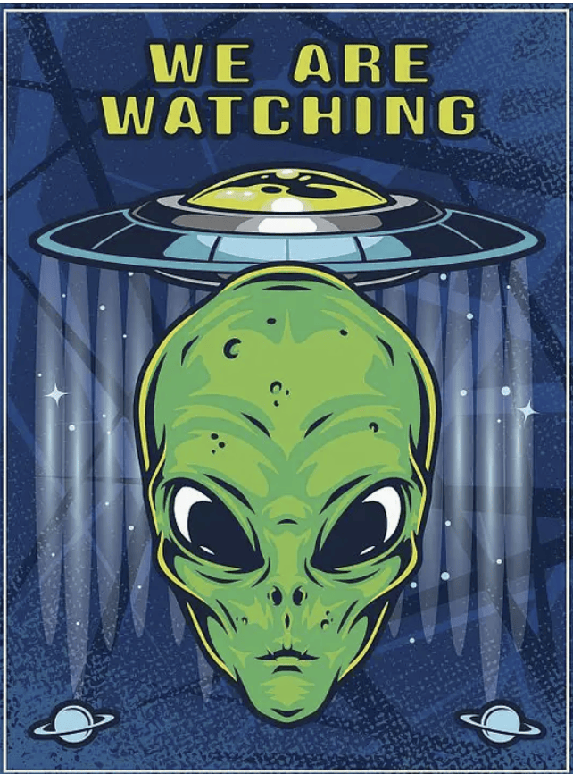 Alien/UFO Magnet (no online sales)