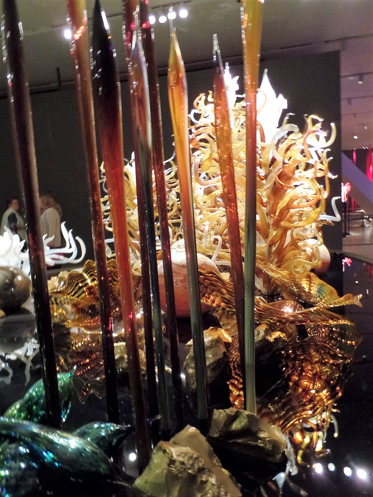 Blown glass by Chihuly