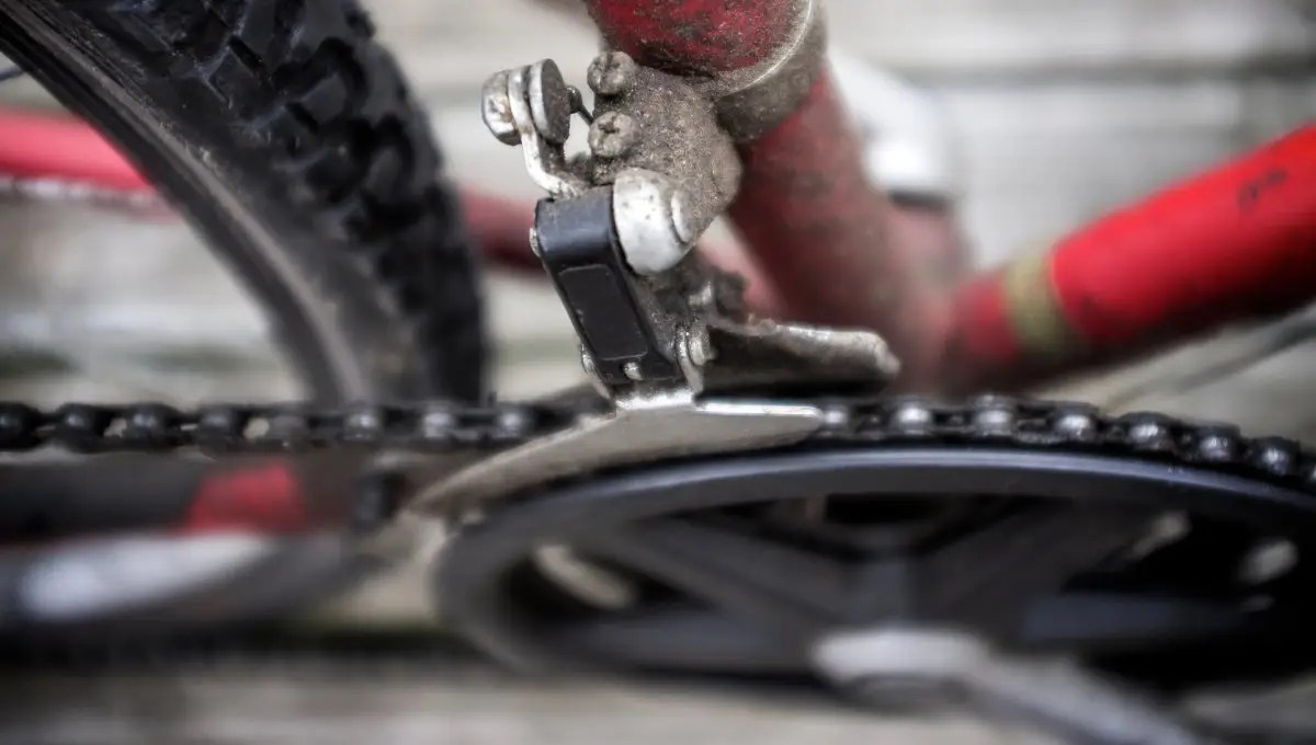 Big Chain Ring