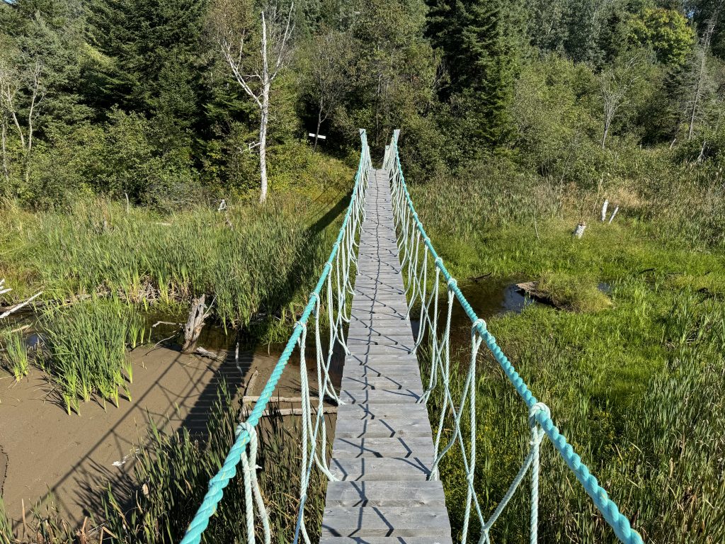 pont suspendu du sentier Nepisiguit Mi’Gmaq