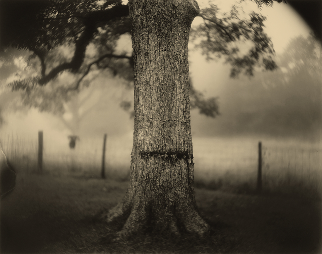 Sally Mann – A Thousand Crossings @ Jeu de Paume, Parigi – Off