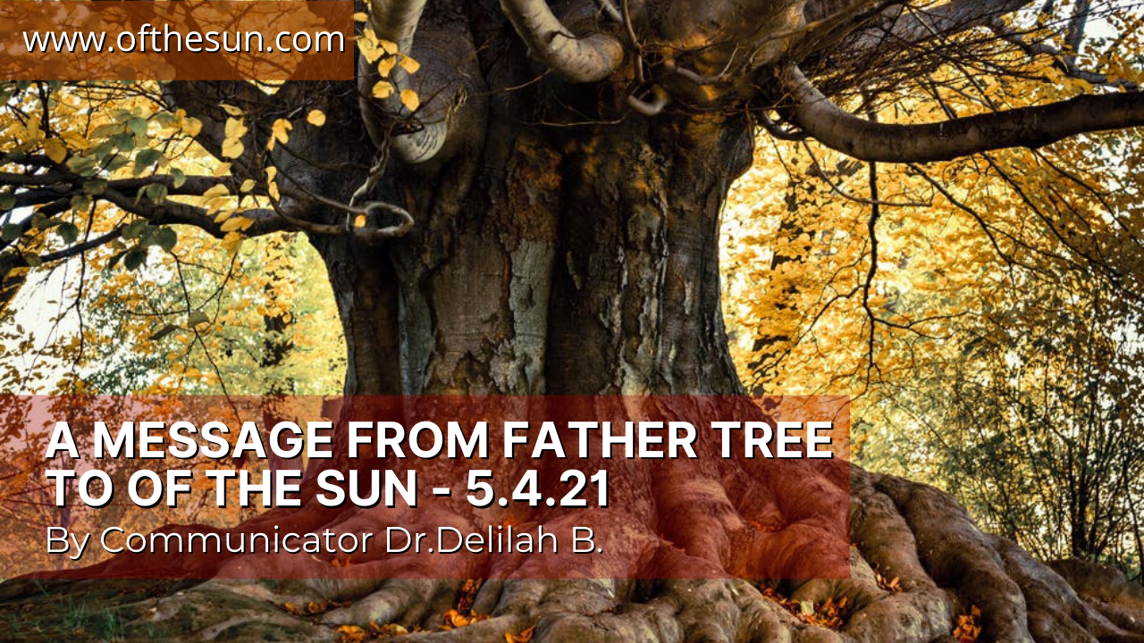 A Message from Father Tree to Of The Sun - 5.4.21