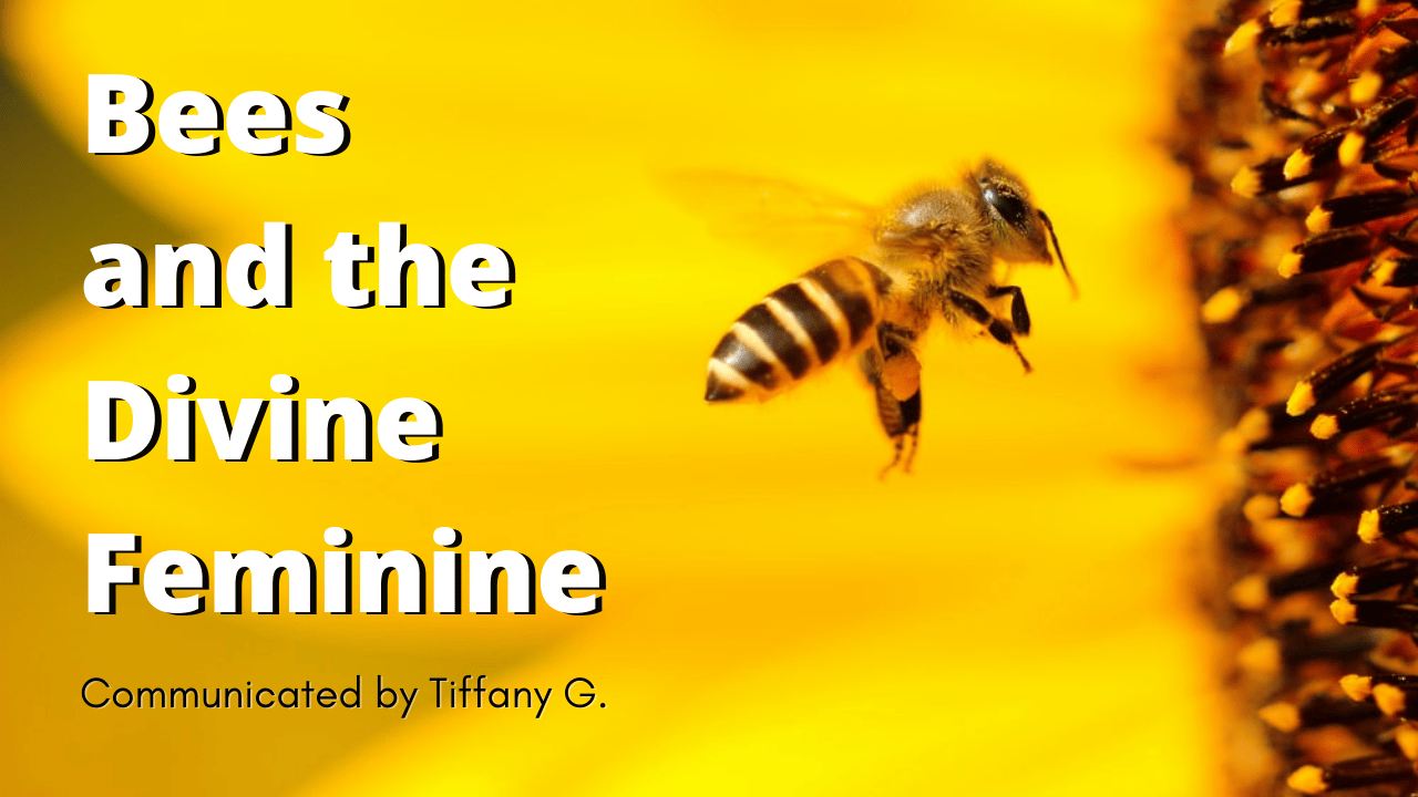Bees and the Divine Feminine