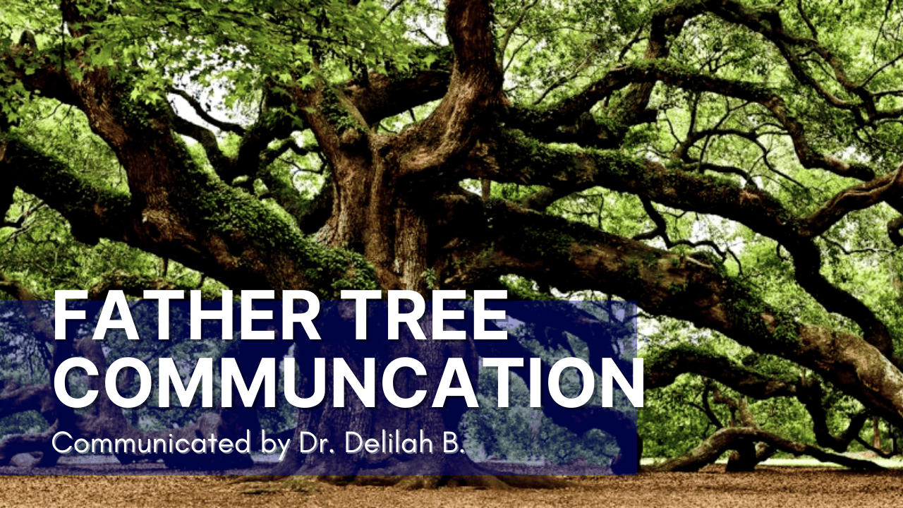 Father Tree Communication 4/2/21