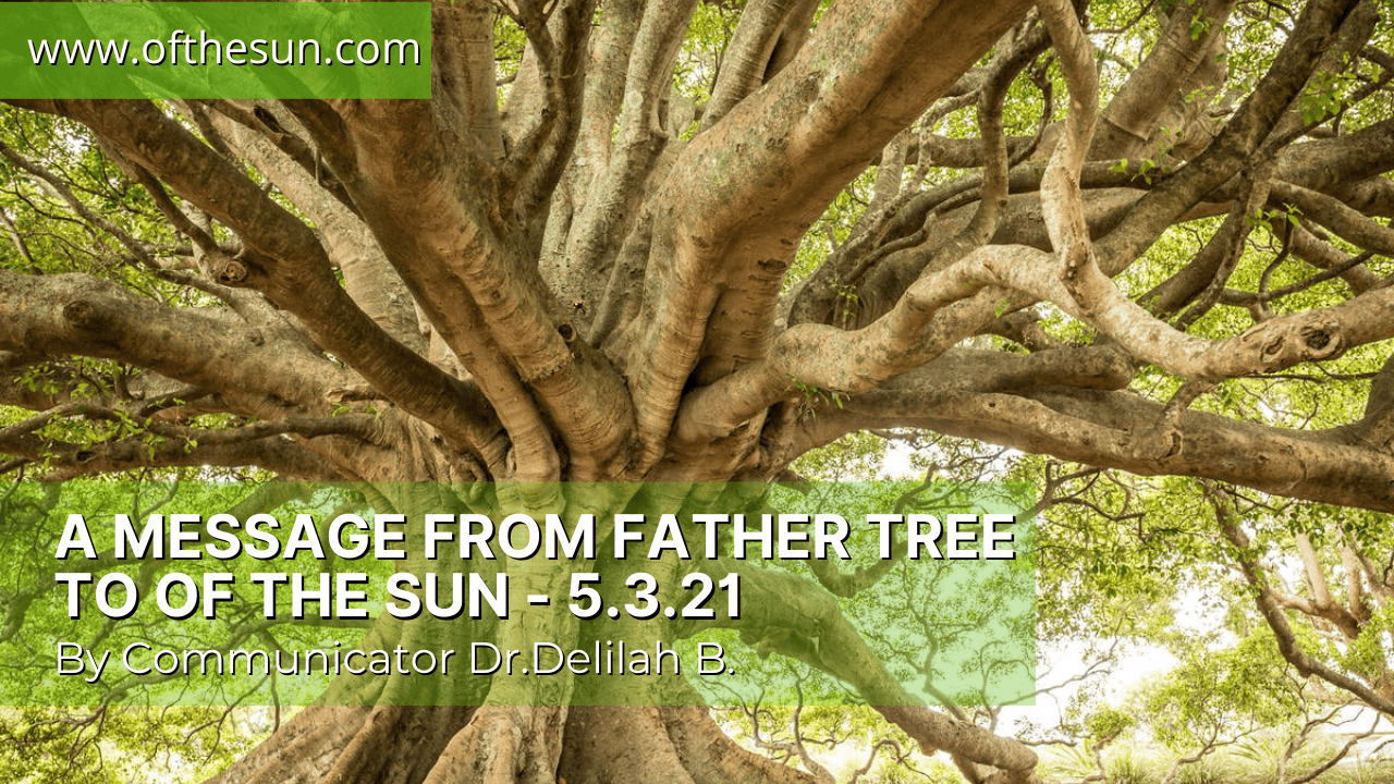 A Message from Father Tree to Of The Sun - 5.3.21