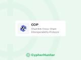 Ccip Cypherhunter