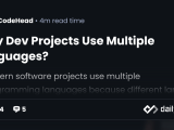 Why Dev Projects Use Multiple Languages Daily Dev