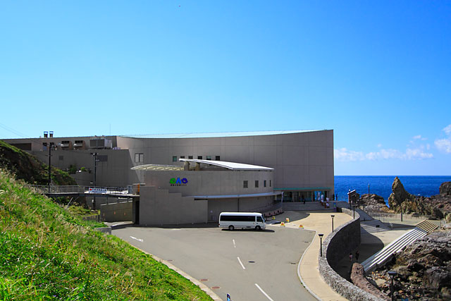 男鹿水族館gao [534]