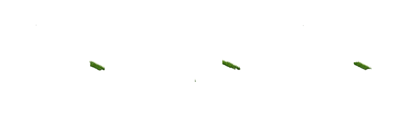 Grass Github Topics Github - Premium Light Image Gallery - 4K