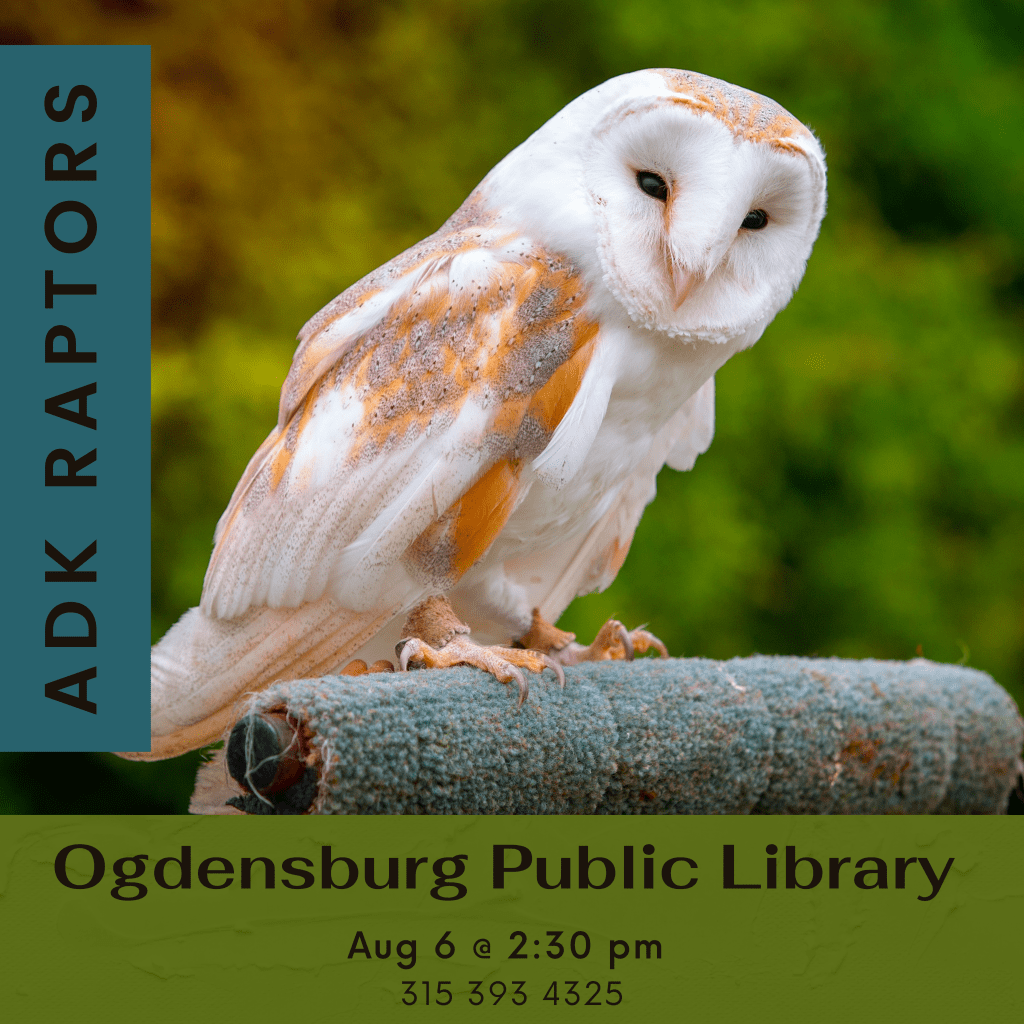 Adirondack Raptors August 6 at 2:30 pm