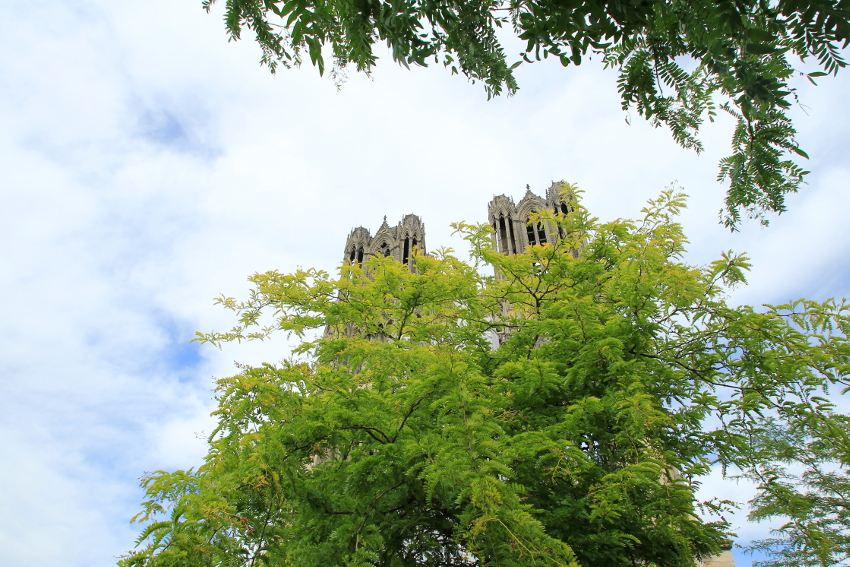 Reims kathedraal