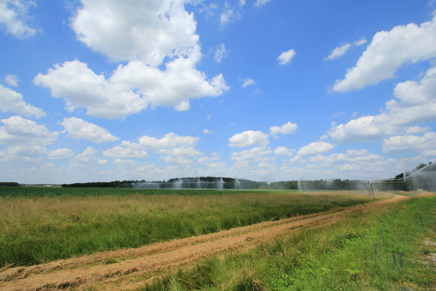 landbouw in de Loirestreek