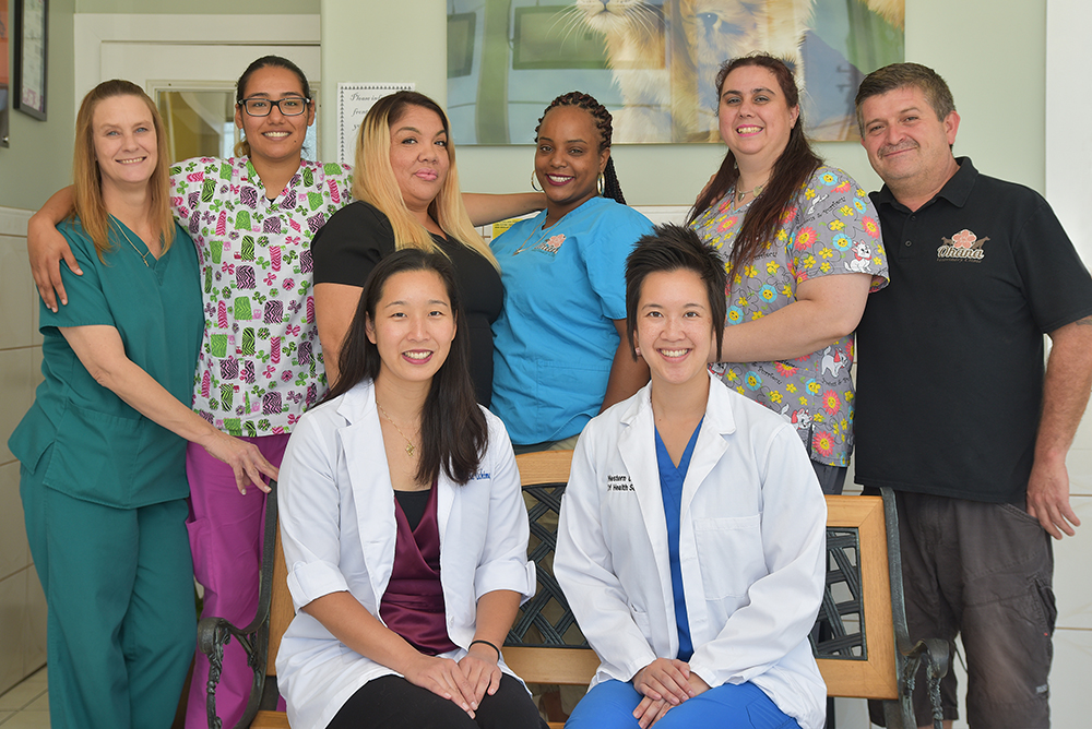 about us - torrance veterinarian ohana veterinary clinic on ohana pet hospital torrance