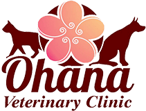 veterinarian in torrance ca - ohana veterinary clinic on ohana pet hospital torrance