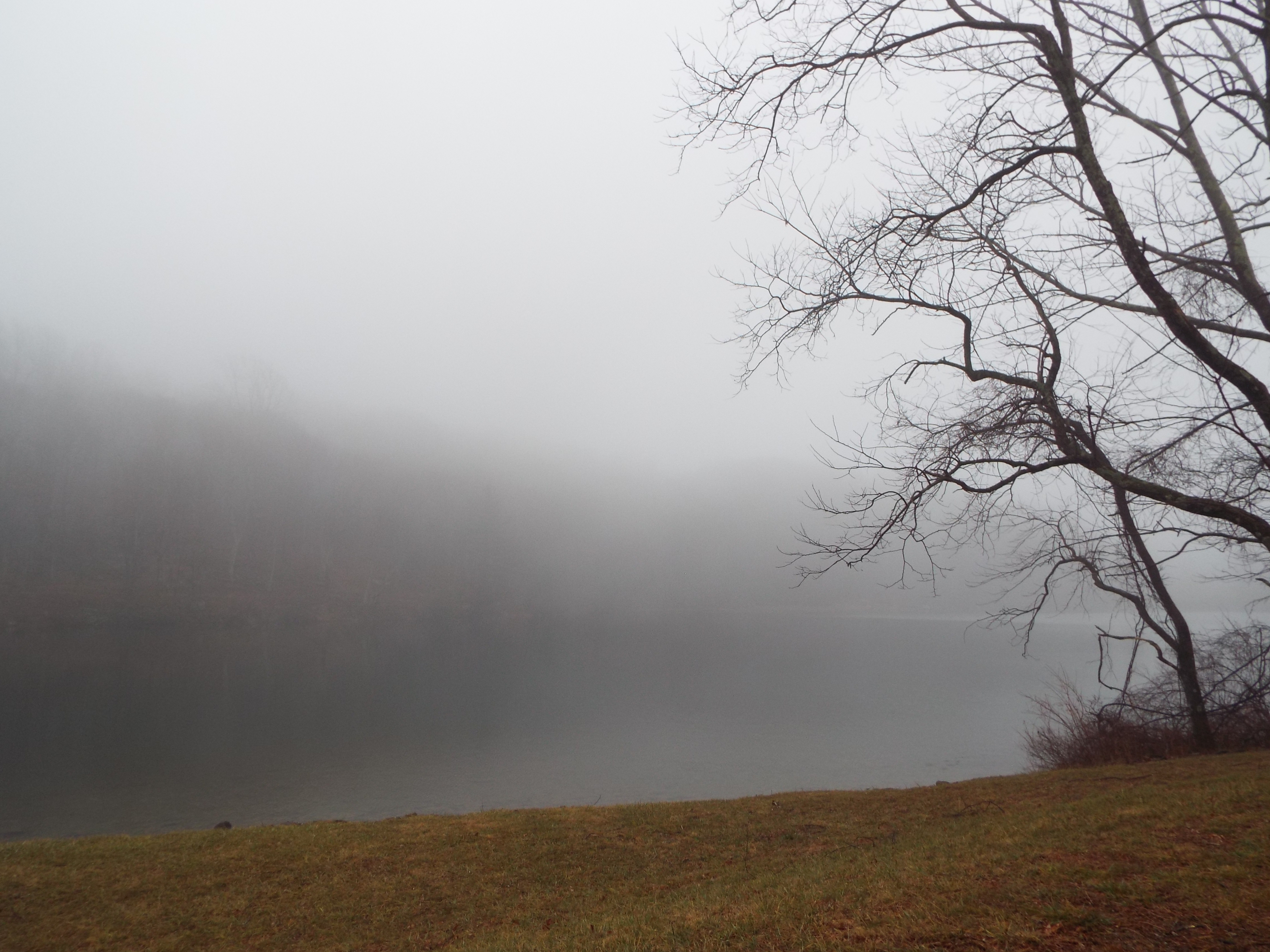 Misty Adventure