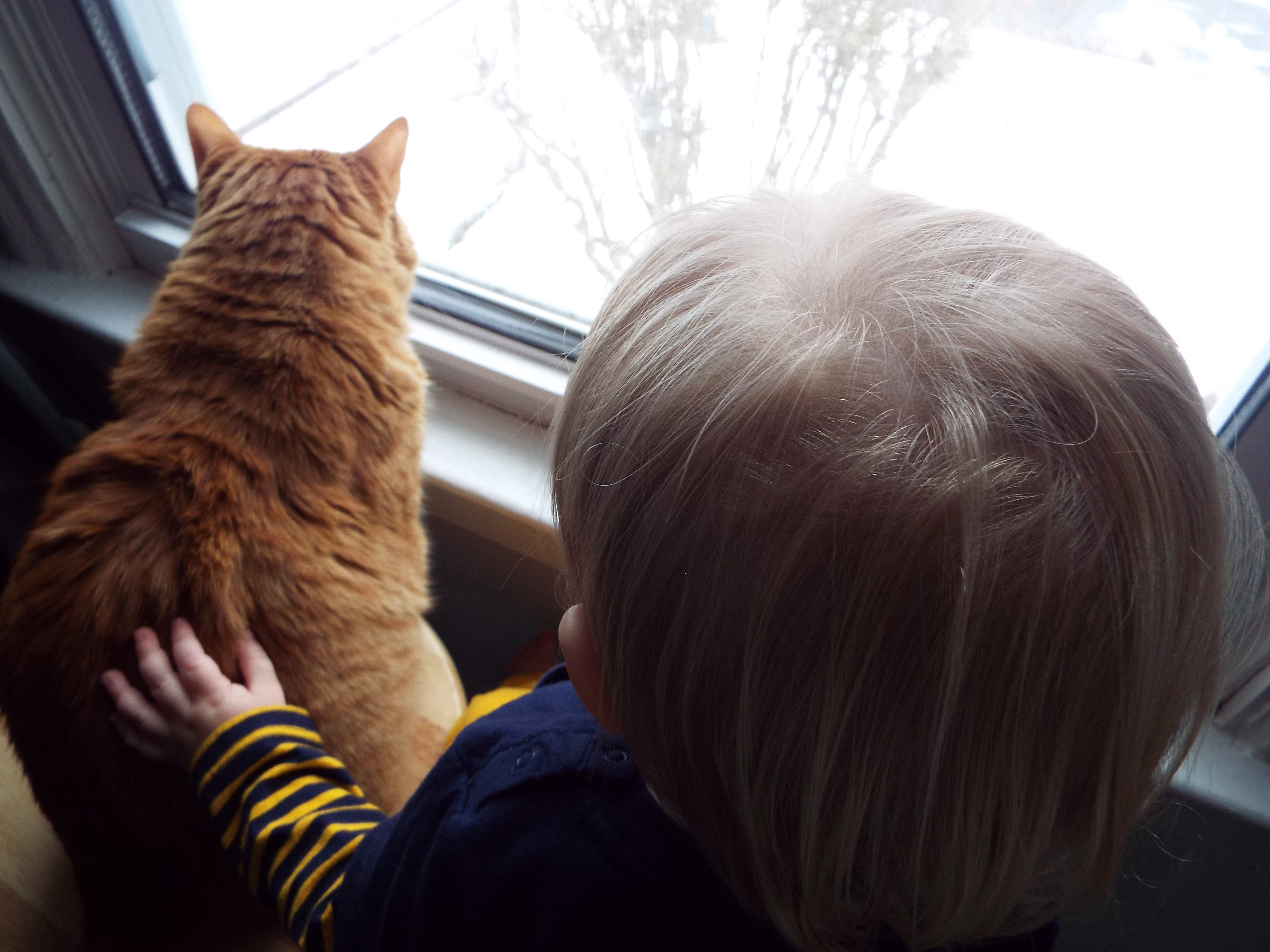 Bird Watchers