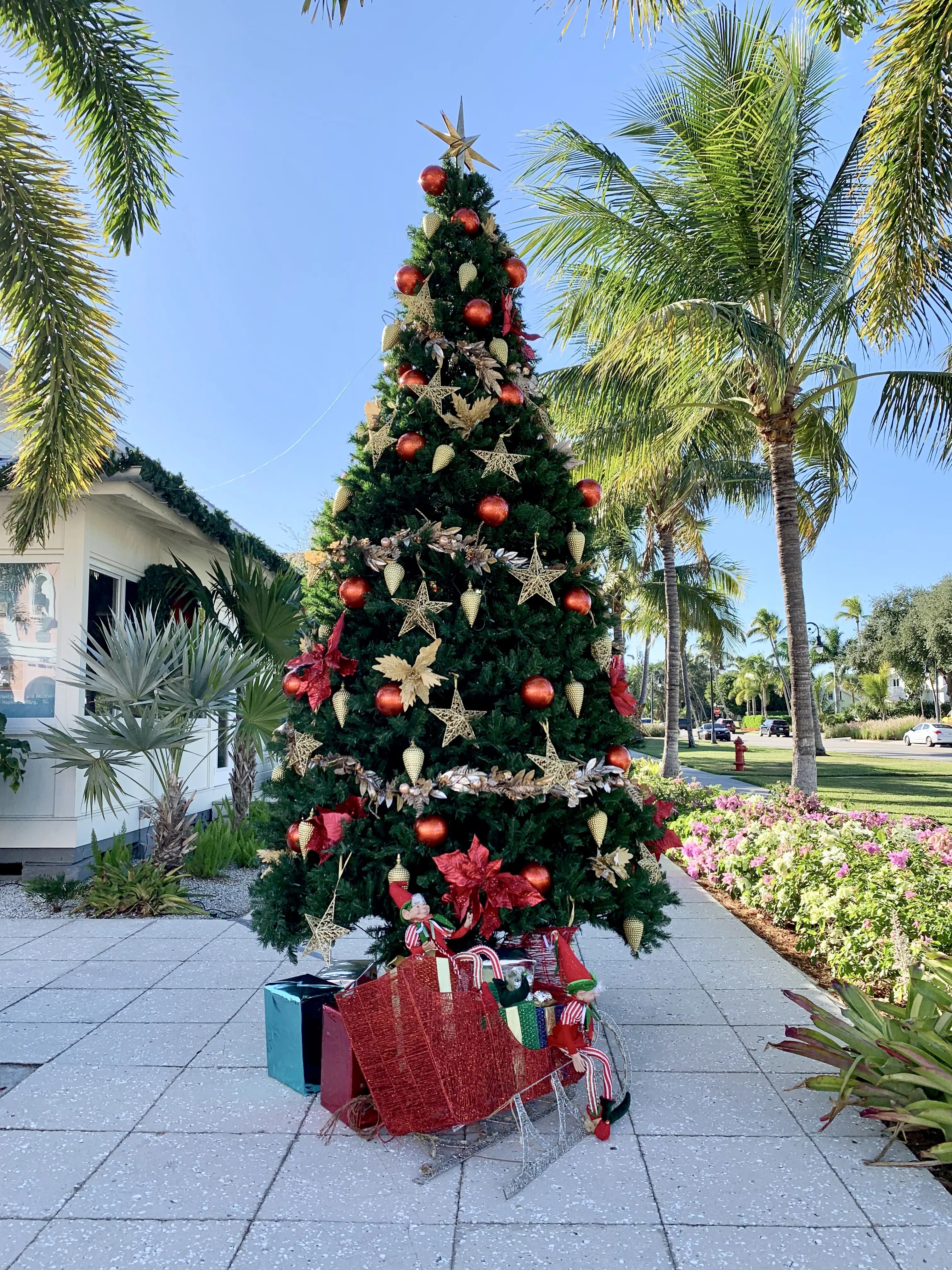 Naples Florida Christmas Events 2023 Christmastime in Naples, FL Oh How Charming by Lauren