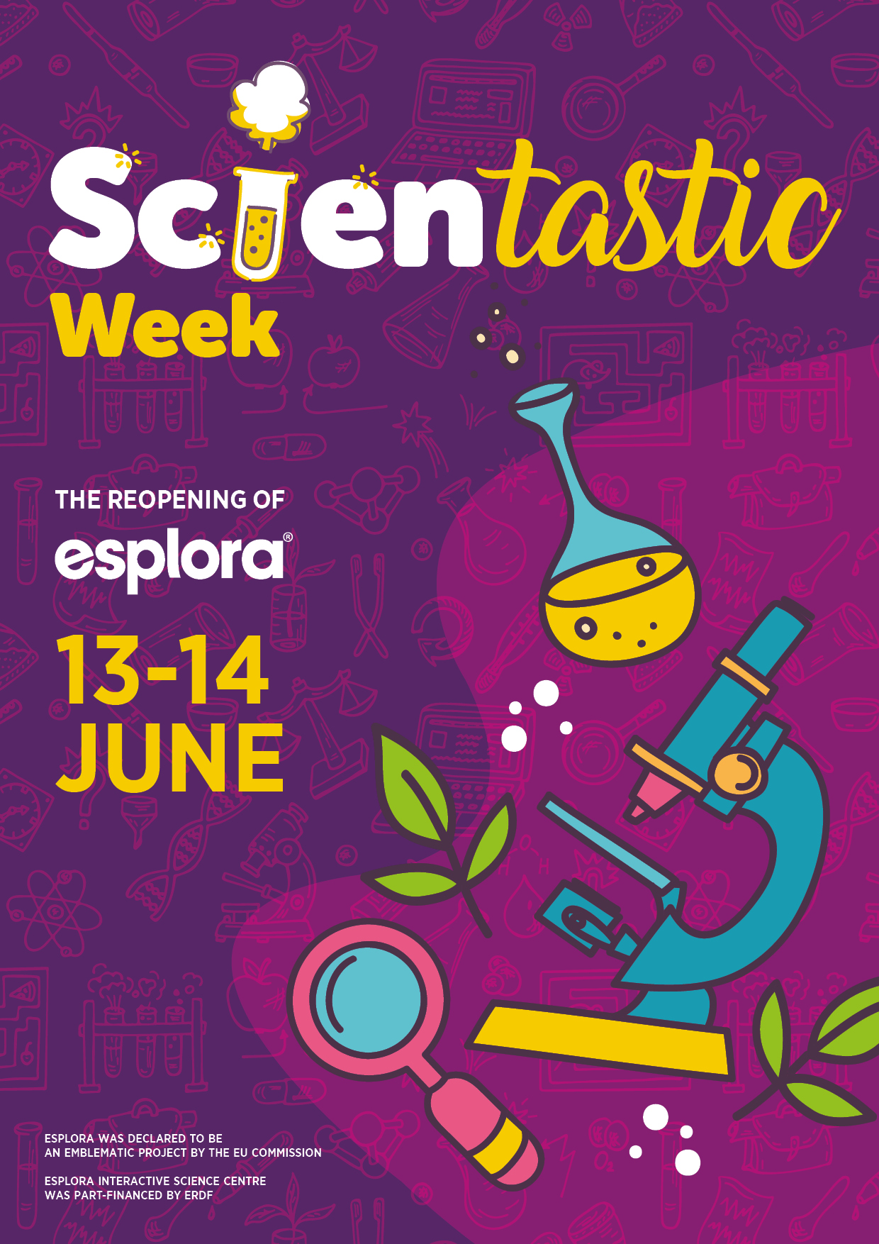 Read more about the article Scientastic Weekend