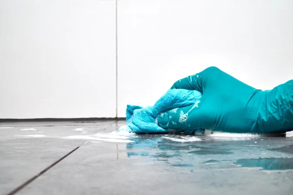 How To Remove A Stain From A Fiberglass Shower Floor The Washington Post How To Remove A Stain From A Fiberglass Shower Floor The Washington Post
