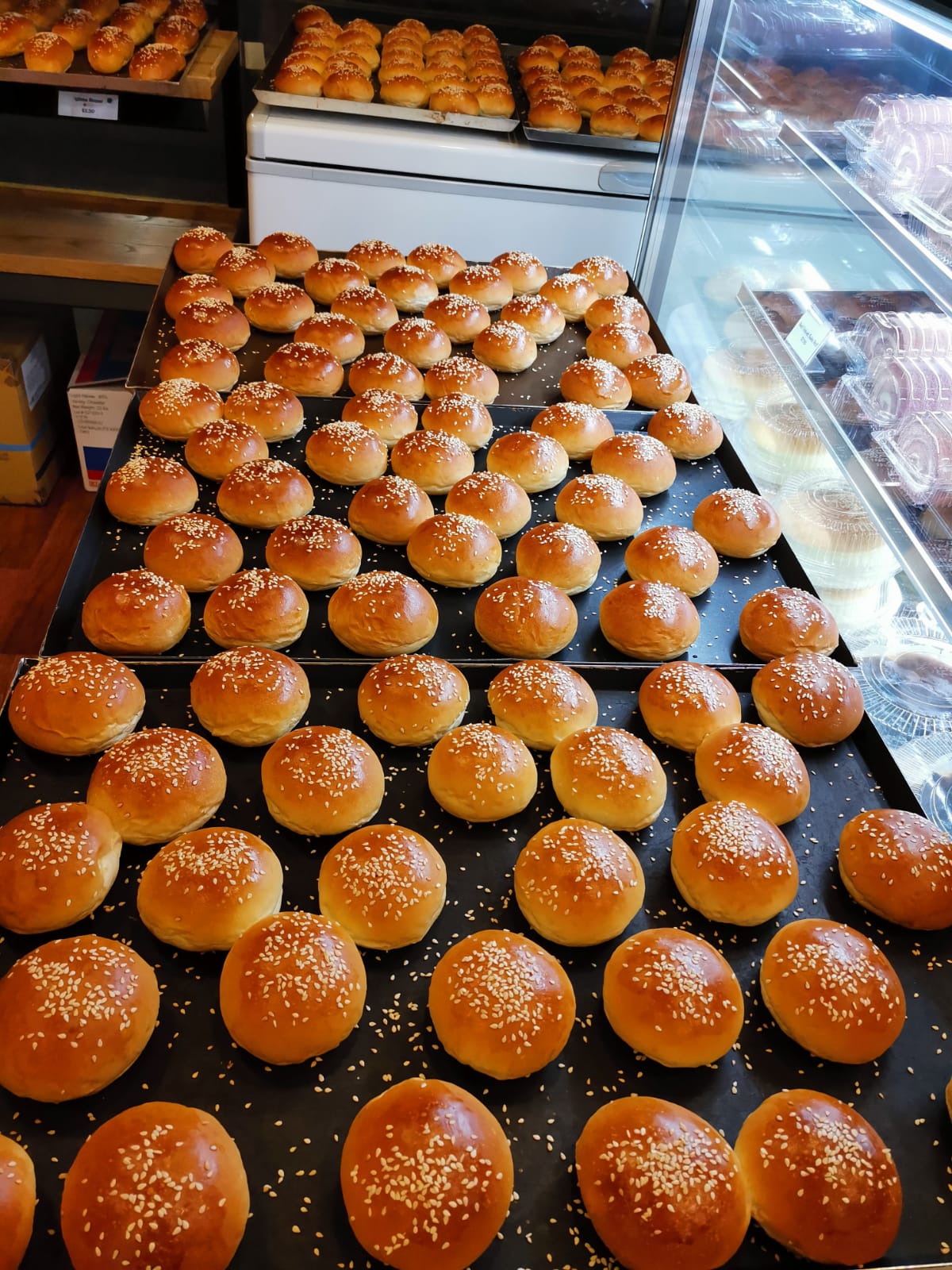 10 Piece Mini Burger Bun (Light and Puffy) Oishi Pan Bakery