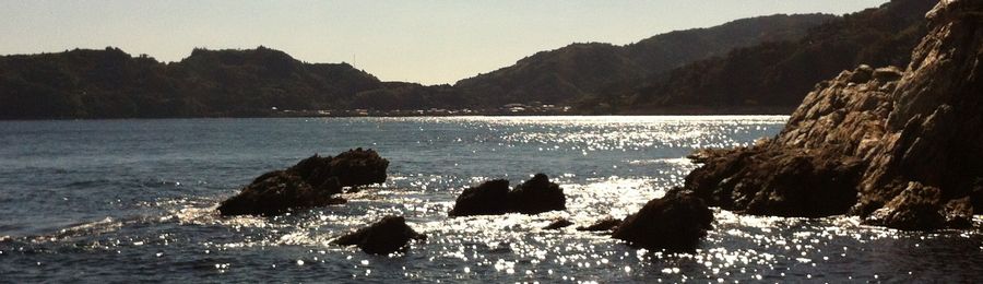 大分県の釣り場・釣りポイントの「大分県の釣り場情報」