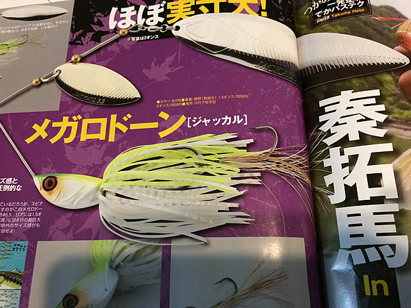 メガロドーンはOSPタイフーンを超えたのか？ | 雄蛇ヶ池 蛇の道は蛇
