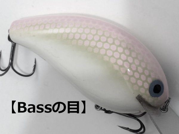 ブラックバスの視覚。ルアーカラーセレクトの間違いとバスの目の色識別