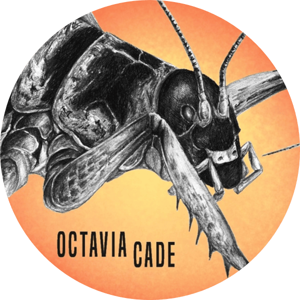 ojcade.com