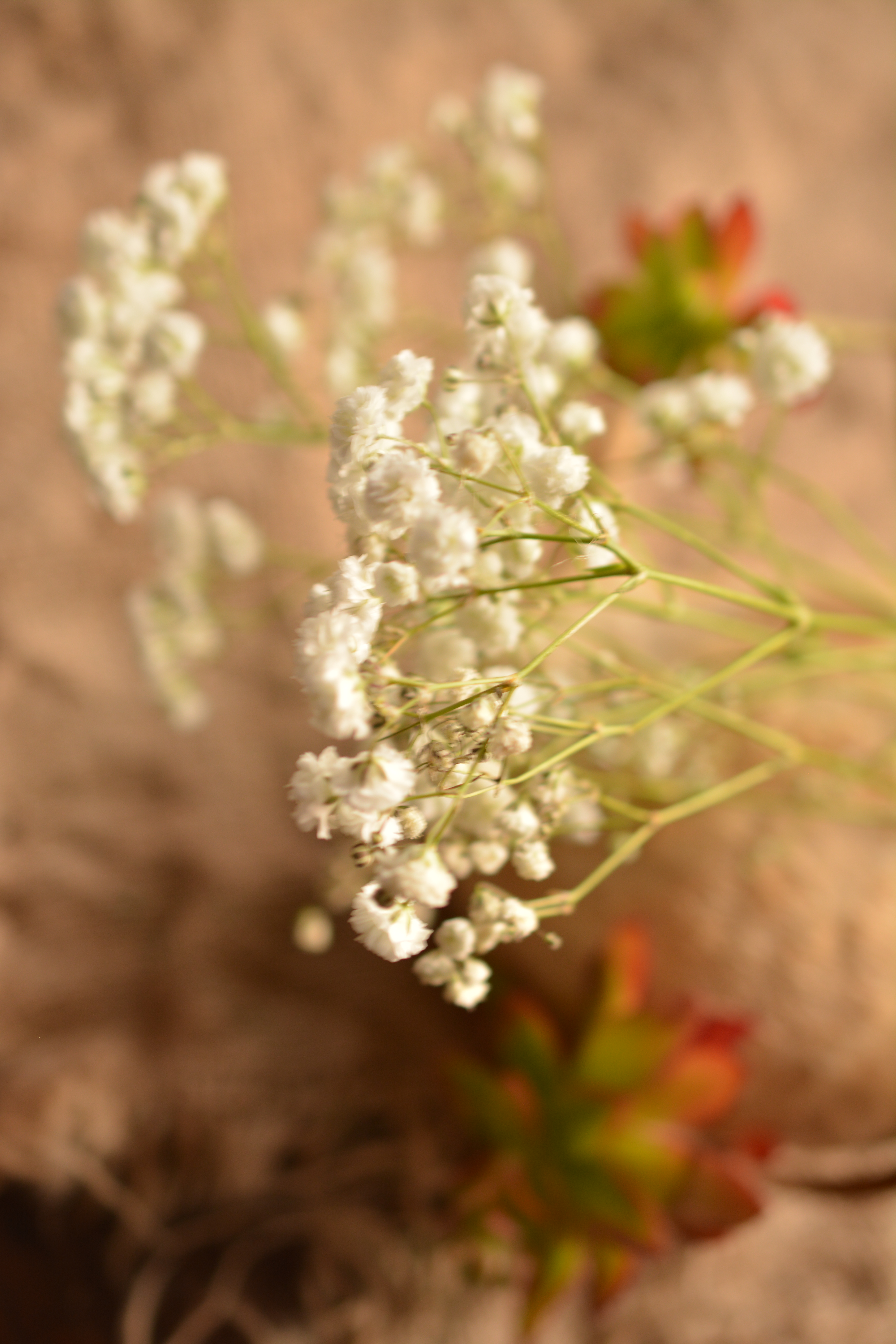 Composición liviana