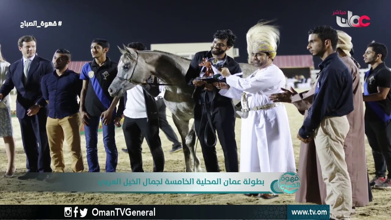 بطولة عمان المحلية الخامسة لجمال الخيل العربي | قهوة الصباح | الثلاثاء 24 يناير 2017م