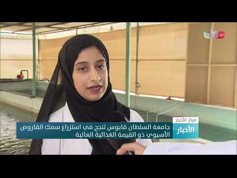 جامعة السلطان قابوس تنجح في استزراع سمك القاروص الآسيوي ذي القيمة الغذائية العالية