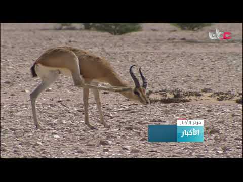 هيئة البيئة تستعرض فرص الاستثمار في عدد من المحميات الطبيعية