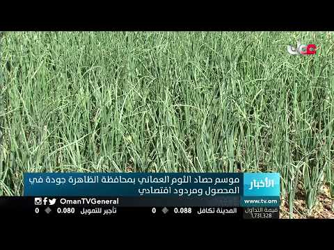 #أخبار_الثانية ظهرا | الأربعاء 31 مارس 2021م