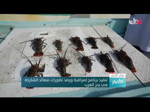 تنفيذ برنامج لمراقبة ورصد تطورات مصائد الشارخة في بحر العرب