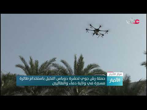 حملة رش جوي لحشرة دوباس النخيل باستخدام طائرة مسيرة في ولاية دماء والطائيين