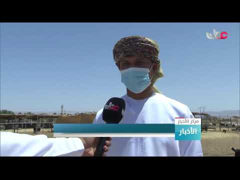 ولاية السنينة بيئة محفزة للاستثمار في قطاع الثروة الحيوانية
